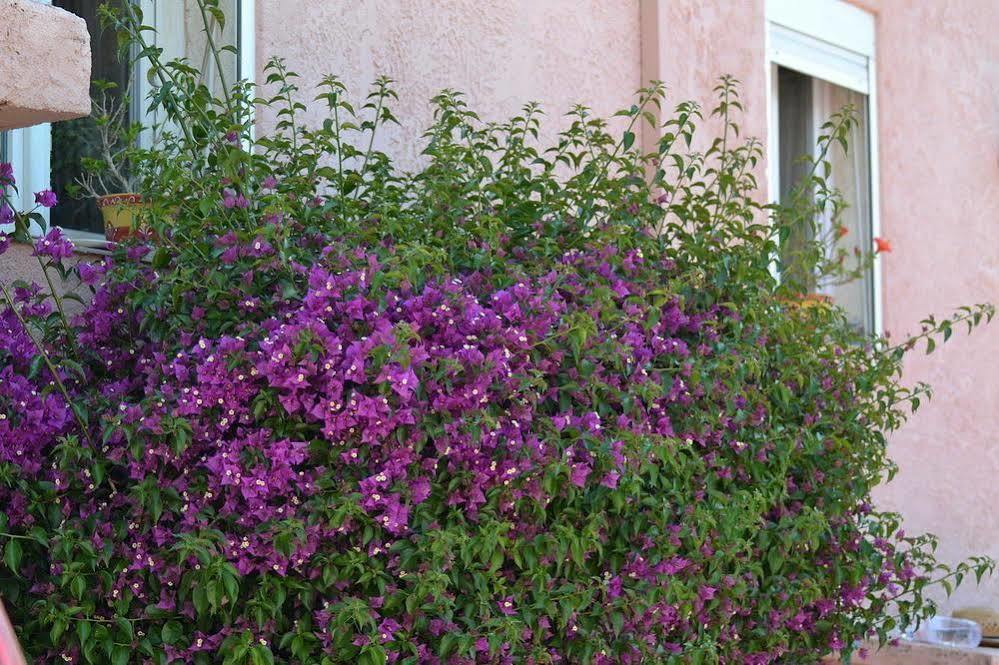 Princesse D'Azur Sainte-Maxime Exterior foto